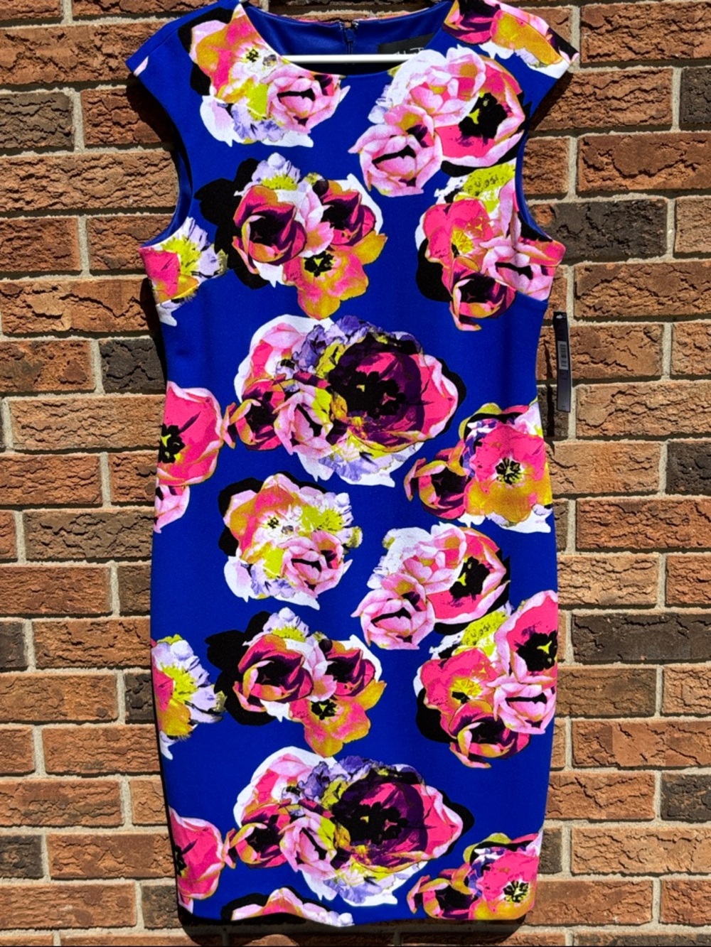NWT Chelsea Rose dress